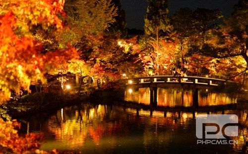 日本京都举行夜间赏红叶活动